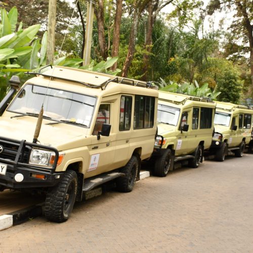 Nairobi to Masai Mara