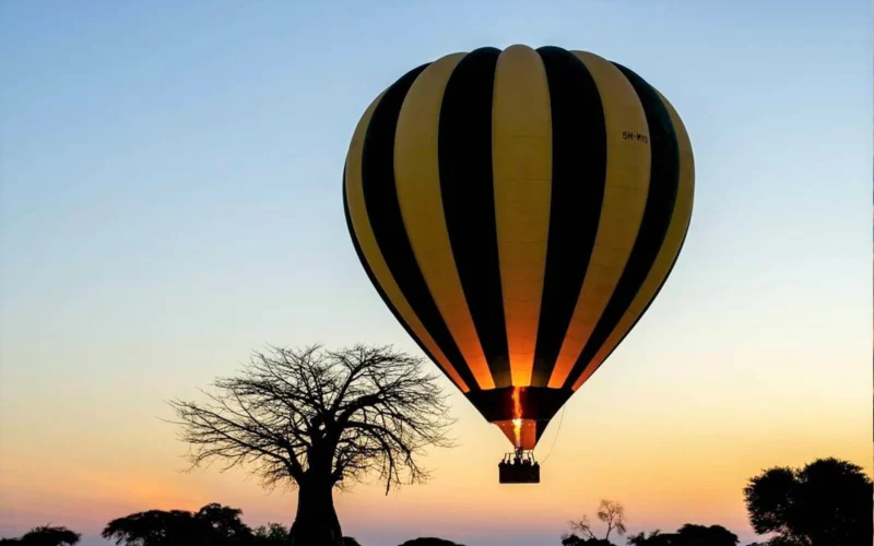 4-Day Serengeti Couples Safari