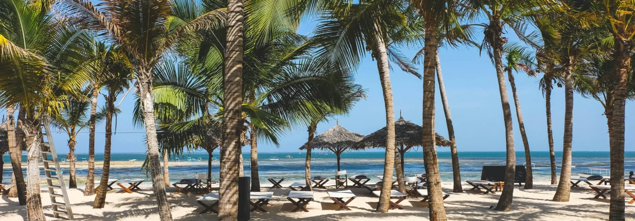 jessica-pamp-mIDfo78z-OA-unsplash