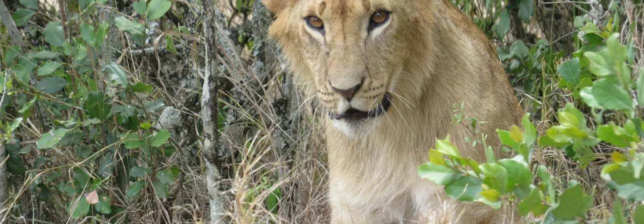 melissa-van-niekerk-c5Wo87fjbMo-unsplash