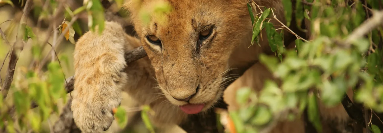 peter-bromley-q0WP6vVNPRo-unsplash (1)