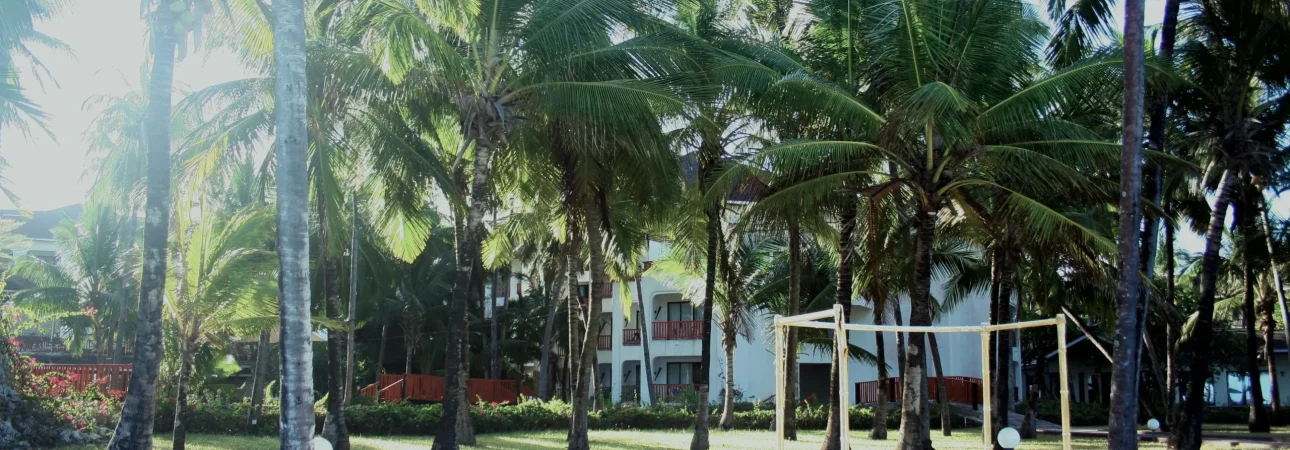 timothy-k-c_g1U0XKiFg-unsplash